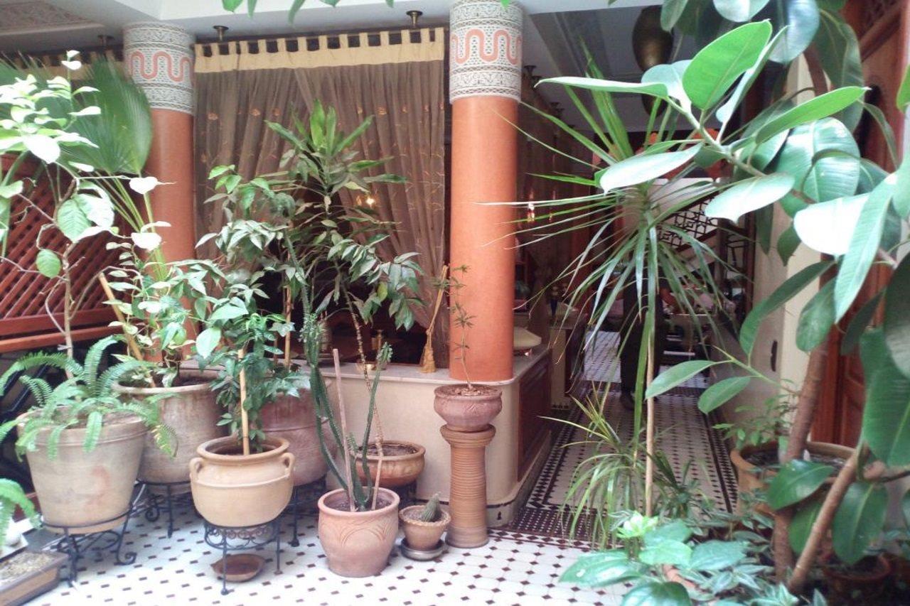 מרקש Riad El Wiam מראה חיצוני תמונה